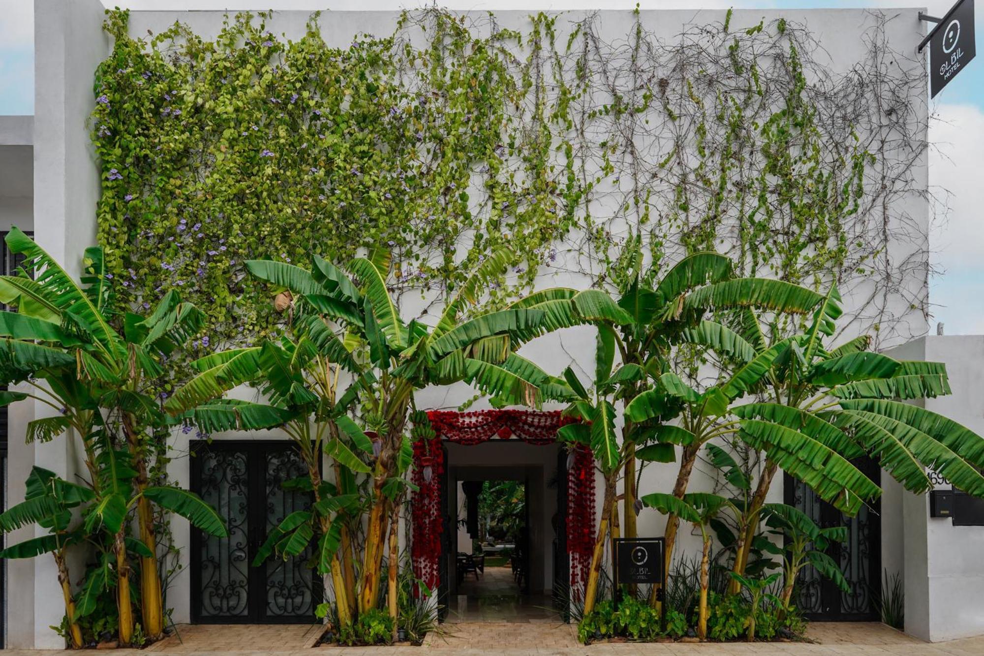 Olbil Hotel Boutique Valladolid  Exteriör bild